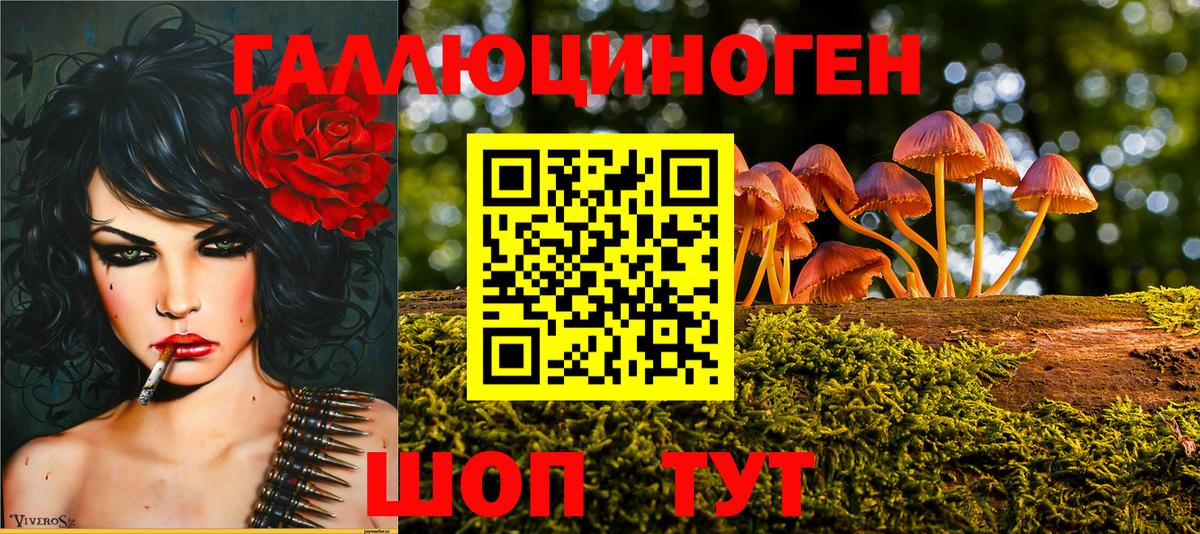 Псилоцибиновые грибы мицелий Брянск