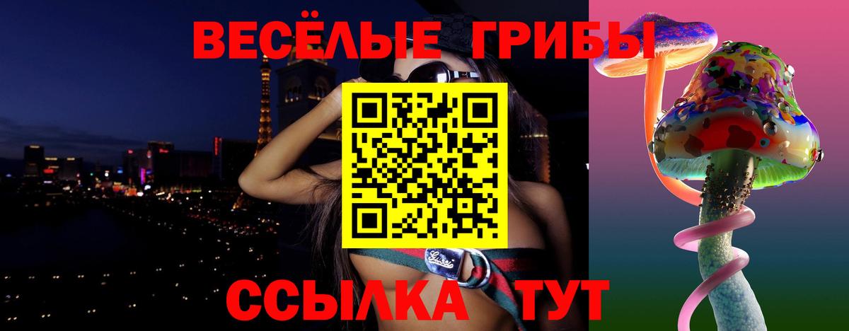 Галлюциногенные грибы Psilocybine cubensis  Вход с VPN  Брянск 